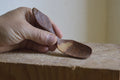 Buckthorn wood spoon