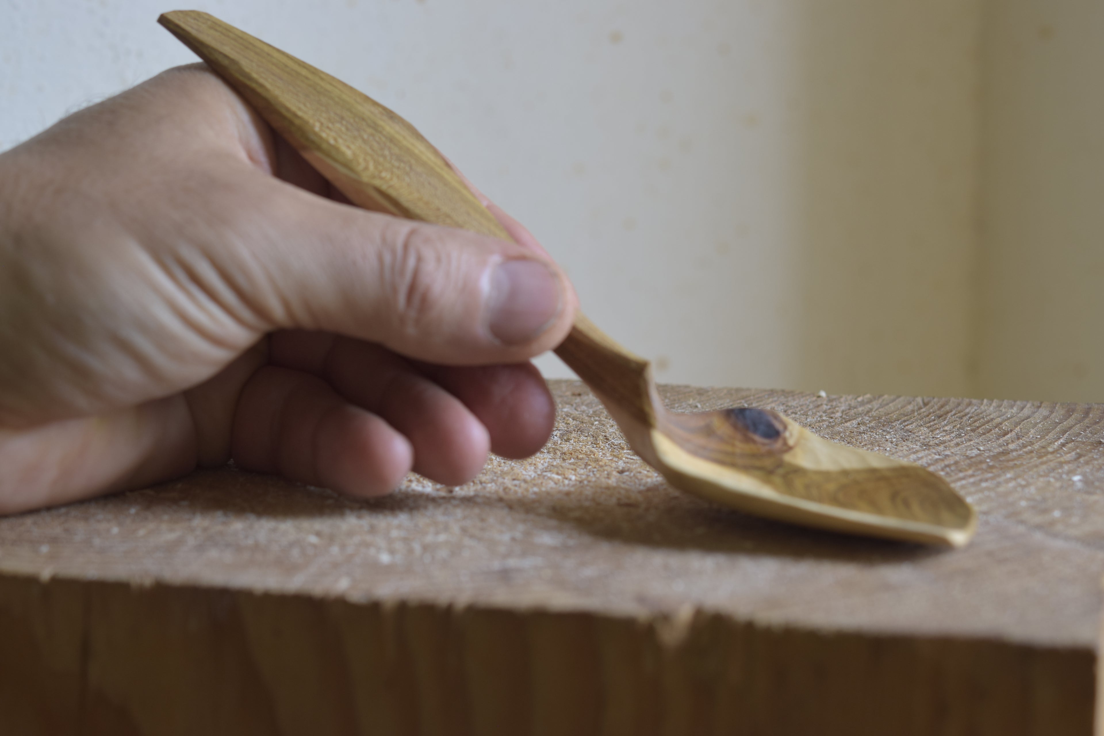 A cooking spoon made of forest wood
